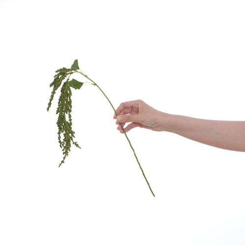 Dekorative grüne Blumenstängel
