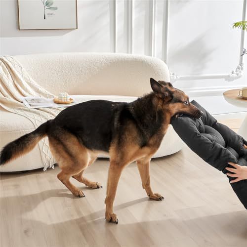 Hunde Bett Karnz