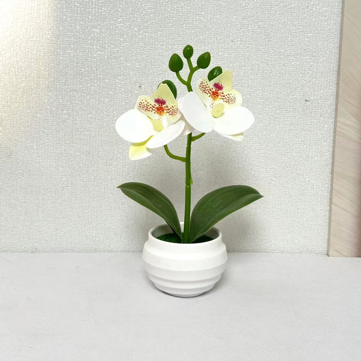 Lebensechte dekorative Orchideenpflanzenarrangement für die Wohnkultur