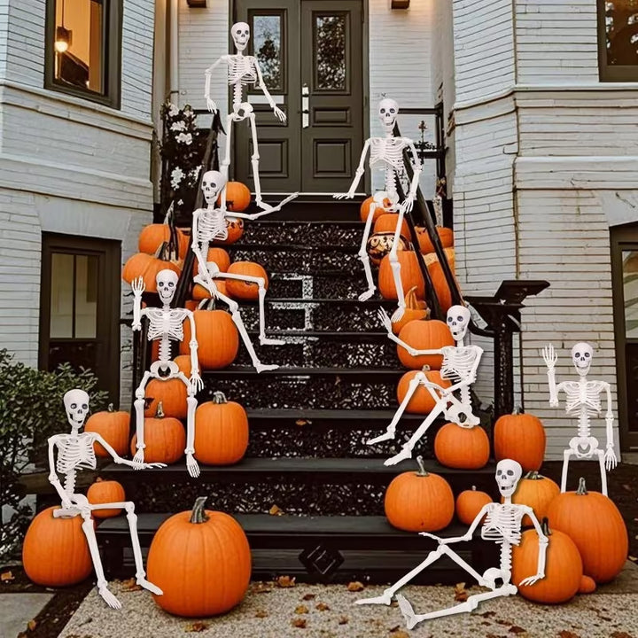 Anatomisches Modell