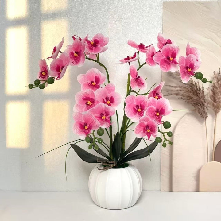 Elegante realistische Orchideenarrangement