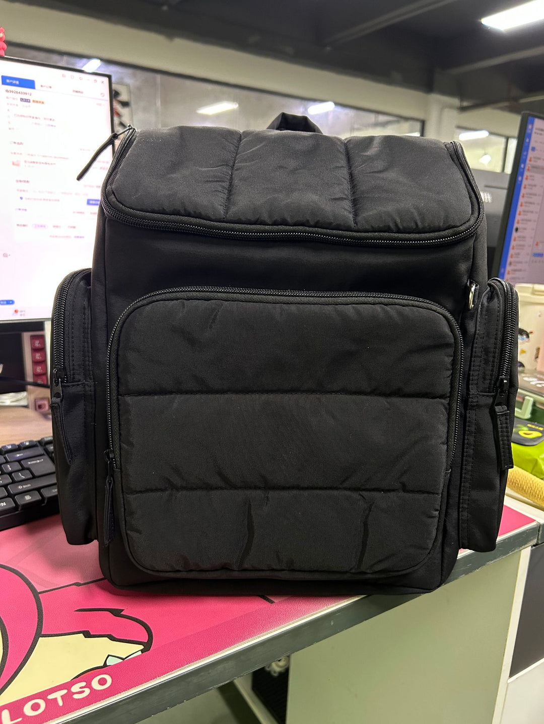 Isolierter Mehrfach-Taschen-Rucksack Karnz