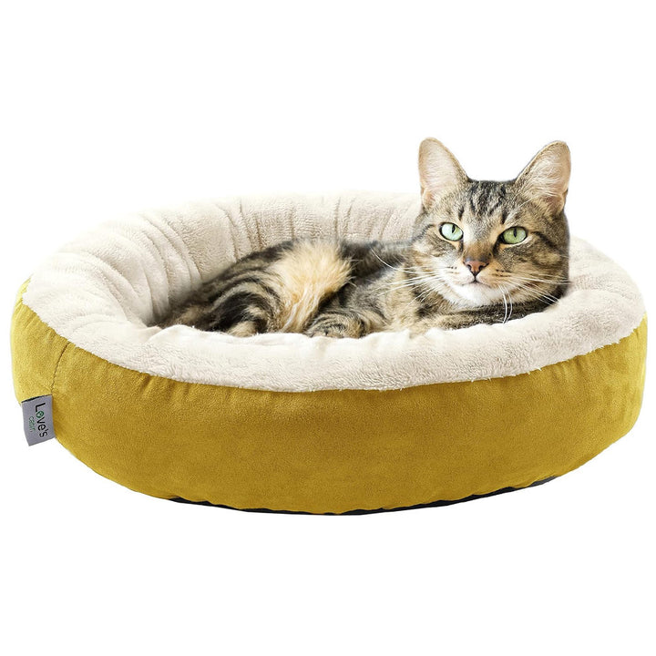 Gemütliches Katzen Karnz Bett