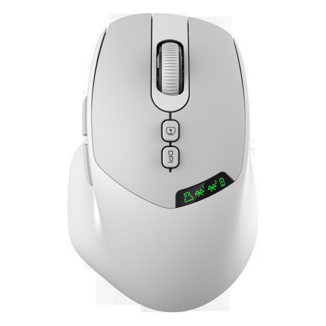 Ergonomische Funkmaus Karnz