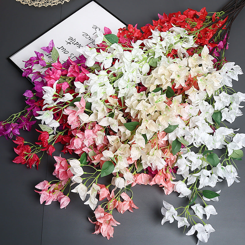 Bougainvillea Blumensstem für Wohnkultur-Display