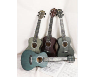 Anfängerfreundliche Sopran-Ukulele Karnz