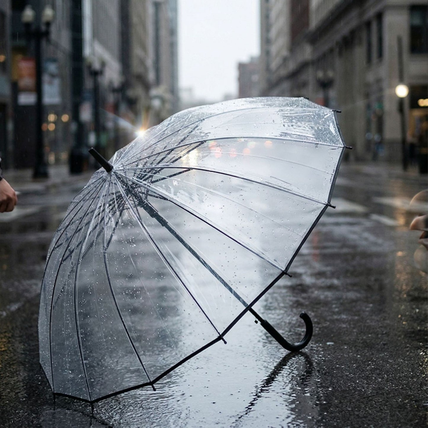 Damen transparenter Regenschirm Karnz