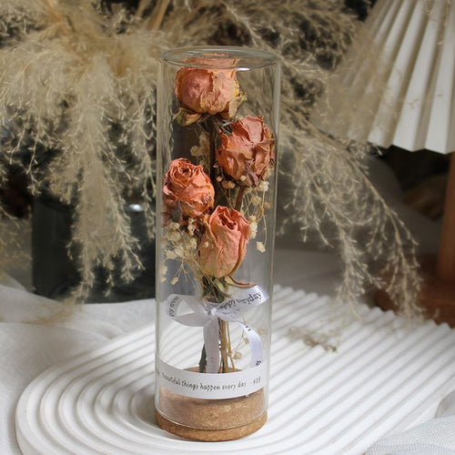 Konserviertes Blumendisplay im eleganten Glaskylinder