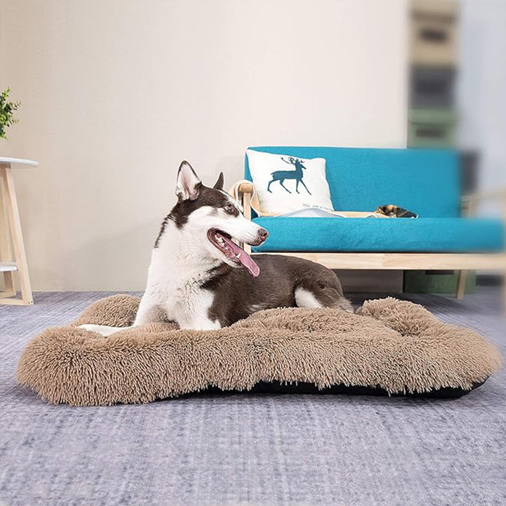 Orthopädisches Hundebett mit Unterstützung