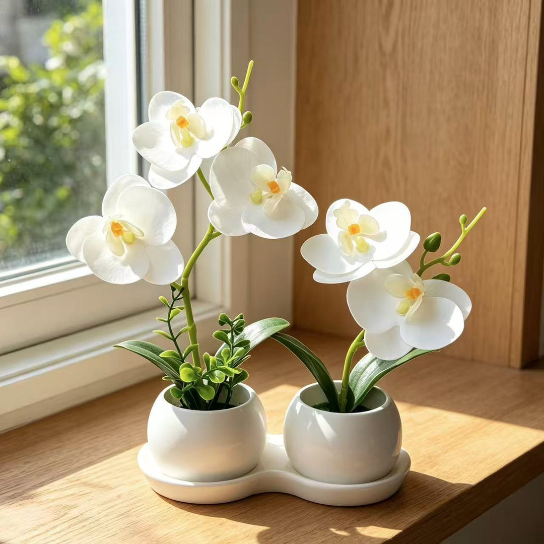 Elegante Faux-Orchideenblütenanzeige