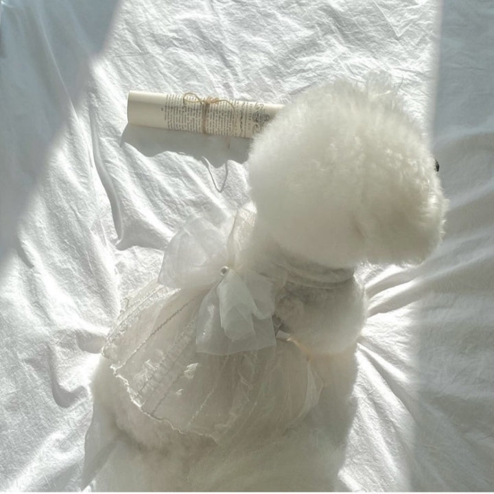 Haustier Tüllspitzenkleid mit Organza und Perlenanhänger