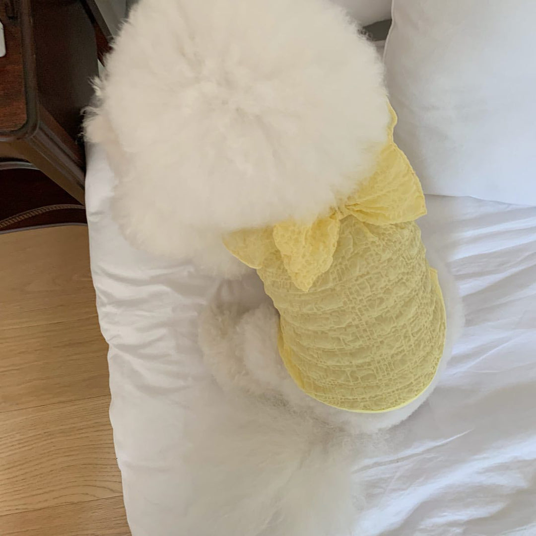 Spitzen-Raffung-Hundekleid mit dekorativem Rücken