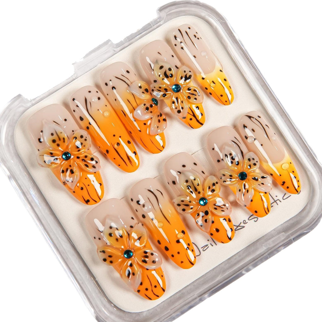 Dekoratives Ombre Nagelverzierung Set