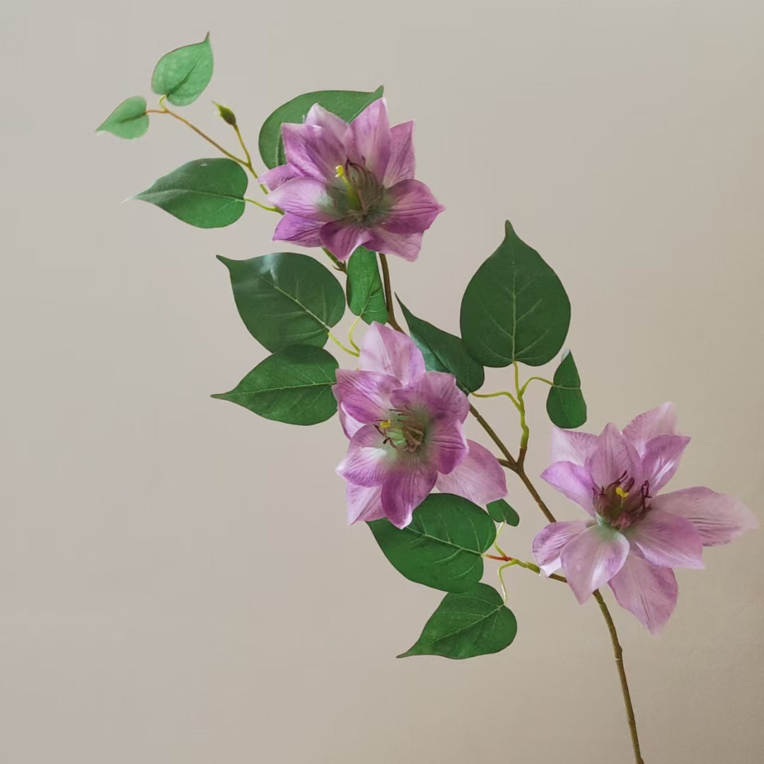 Realistische Magnolienzweig