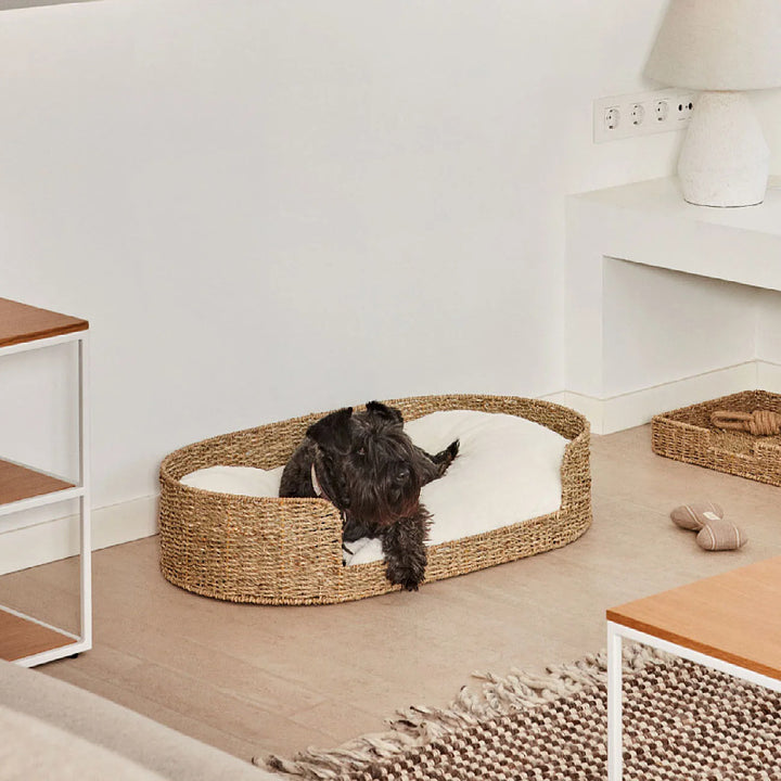 Gemütlicher und stilvoller Hundebett aus geflochtenem Material Karnz