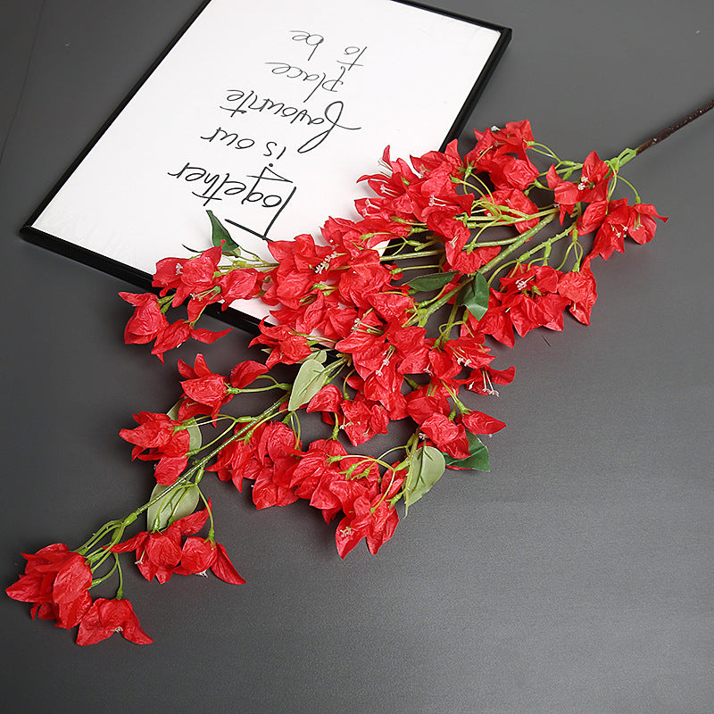 Bougainvillea Blumensstem für Wohnkultur-Display