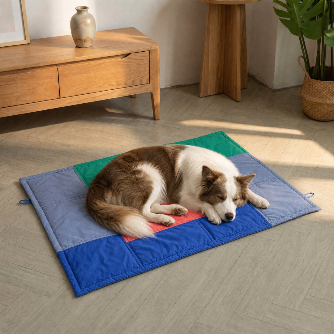 Bequeme gepolsterte Hundebett