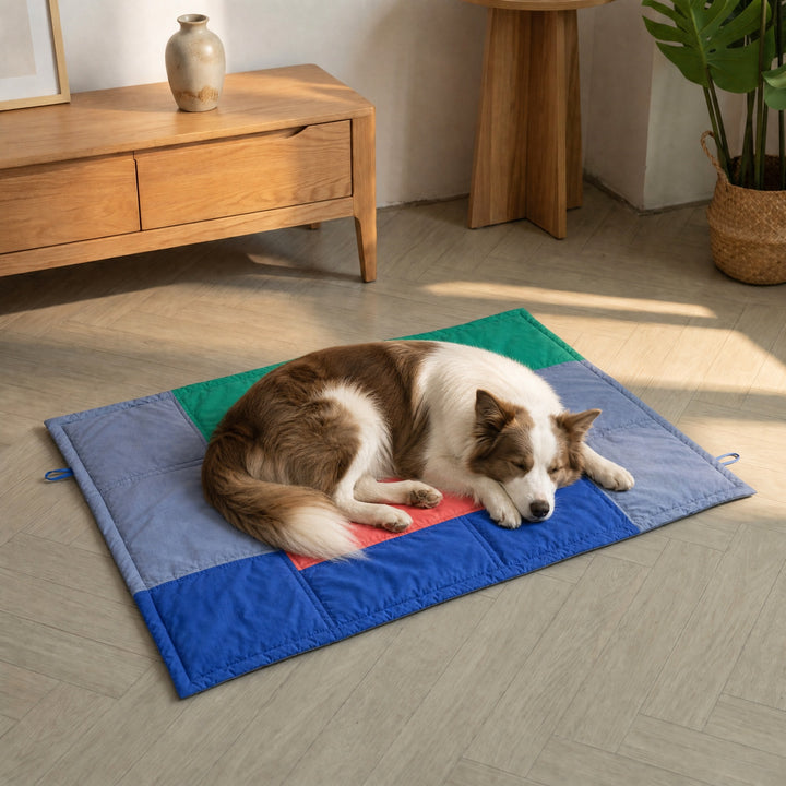Bequeme gepolsterte Hundebett