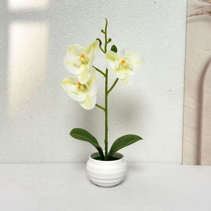 Elegante dekorative Orchideenpflanzenanordnung für die Wohnkultur