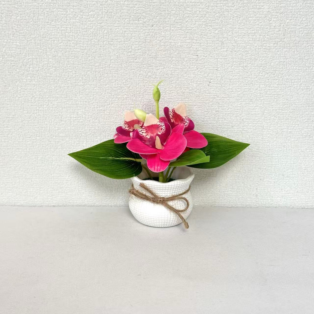 Dekorative Miniatur-Orchideen-Arrangement
