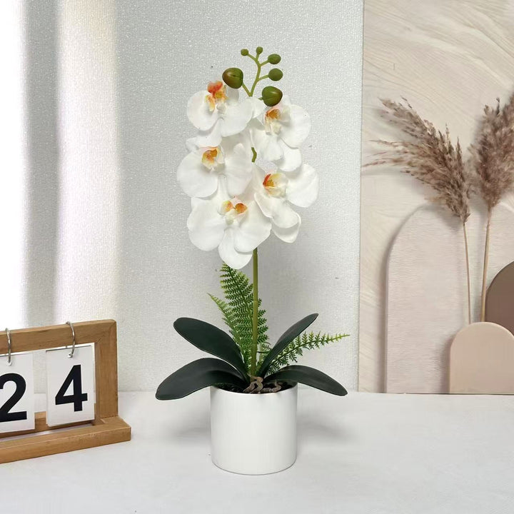 Künstliche Orchideenpflanze für dekorative Innenanzeige