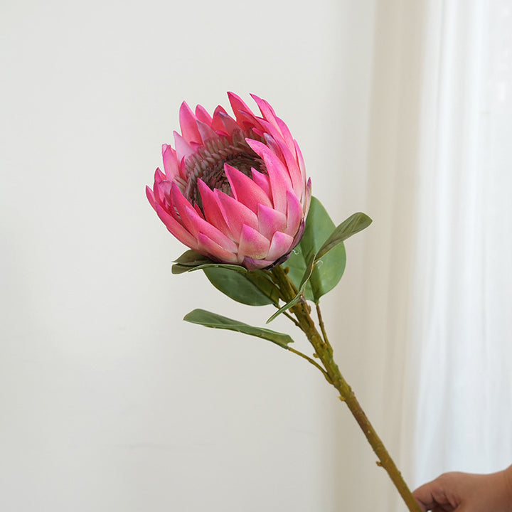 Künstliche Protea Blume Karnz