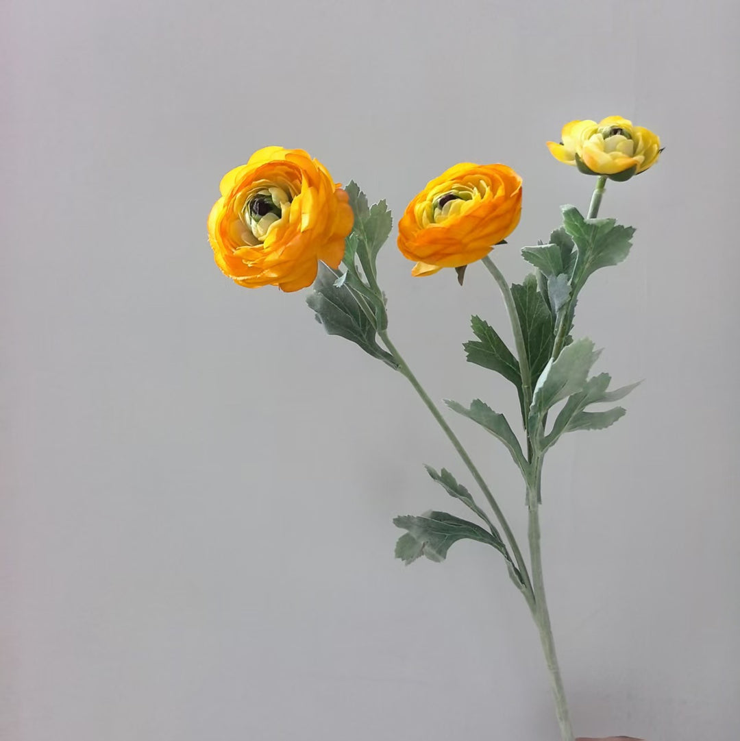 Realistische Ranunkel Blumenschaft