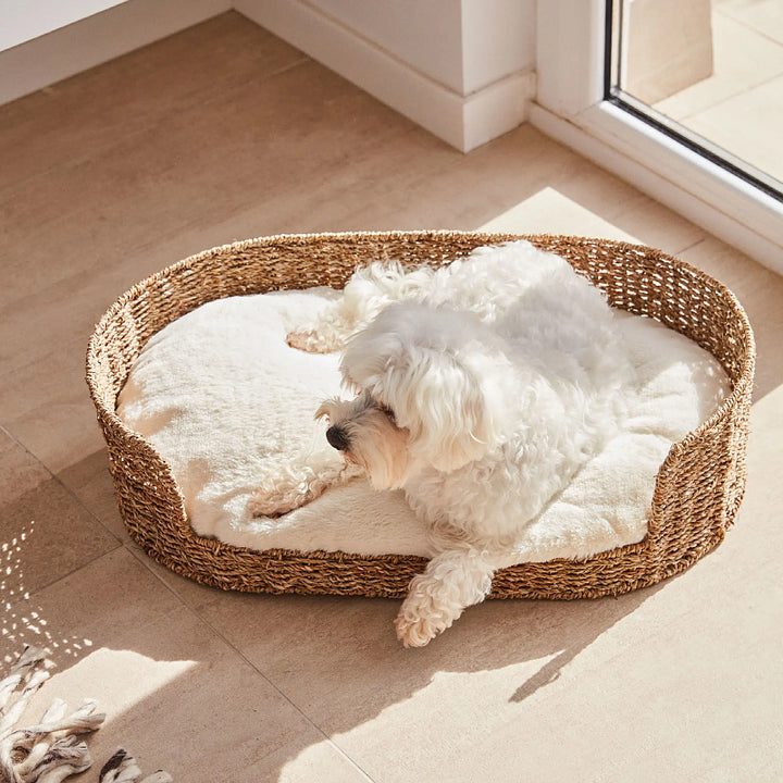Gemütlicher und stilvoller Hundebett aus geflochtenem Material Karnz