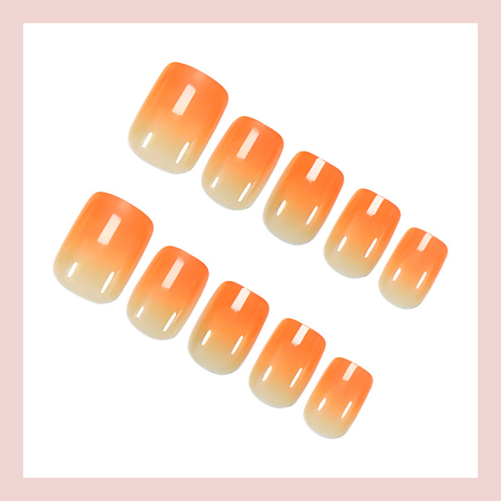 Kunstnagelset mit elegantem Ombré-Design Karnz