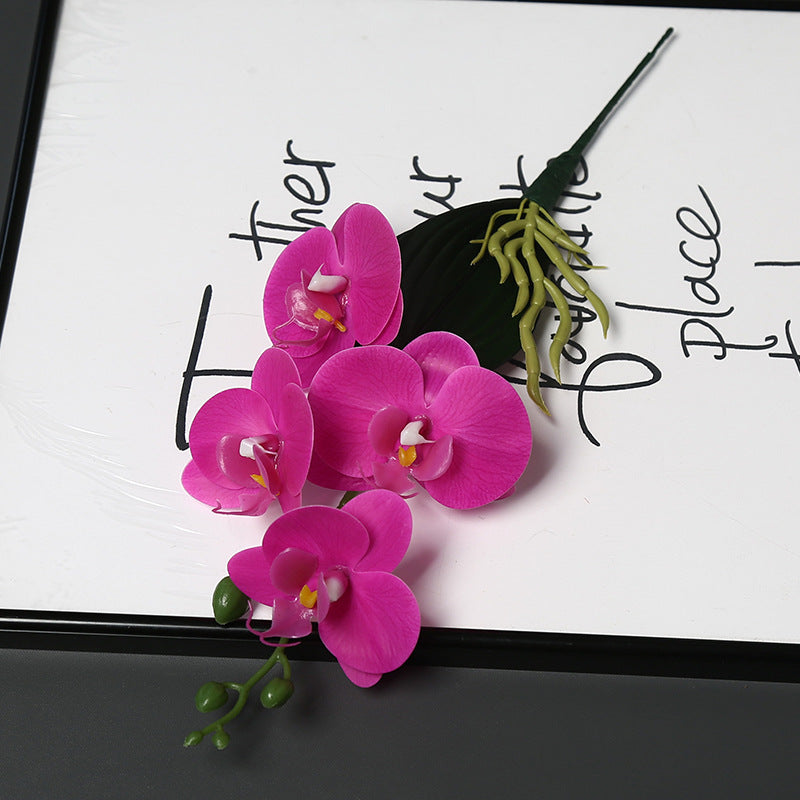 Dekorative Orchideenstängel für die Heimdekoration