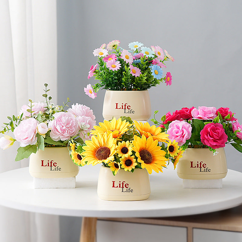 Dekorativer Topfpflanzenscheinblumen-Arrangements