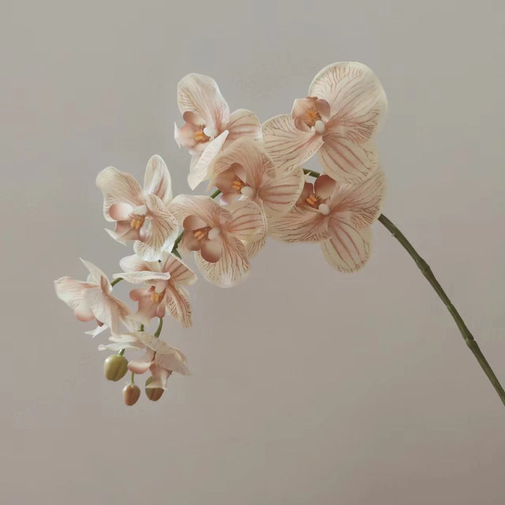 Realistische Orchideenblütenstängel