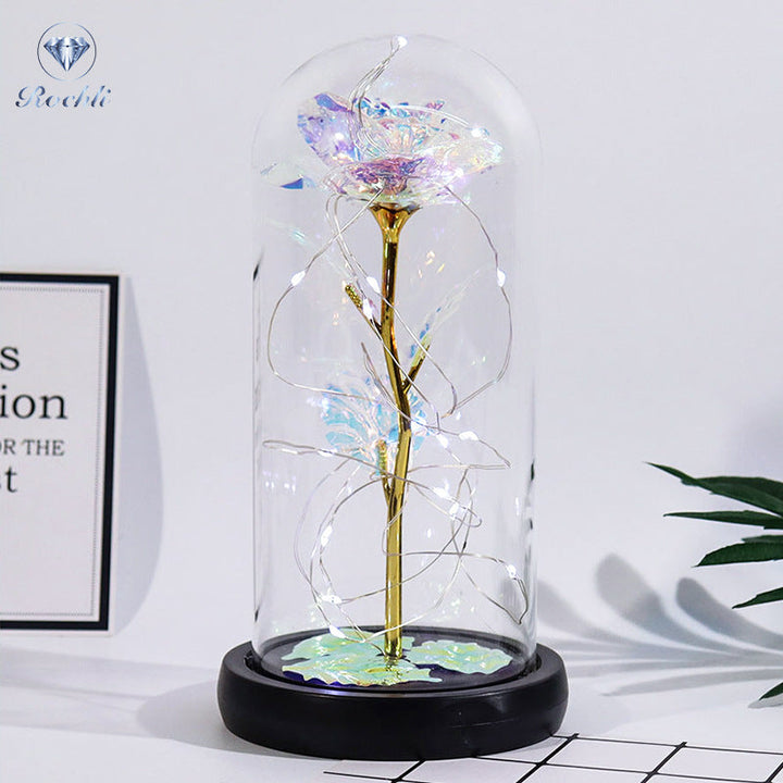 Rose in Glaskuppel Display | Karnz