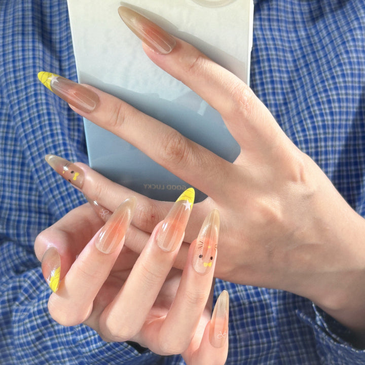 Süßes Künstlerisches Press-On Nagelset Karnz