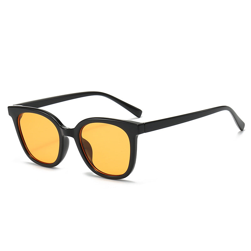Stylishe Hornbrillen-Sonnenbrille