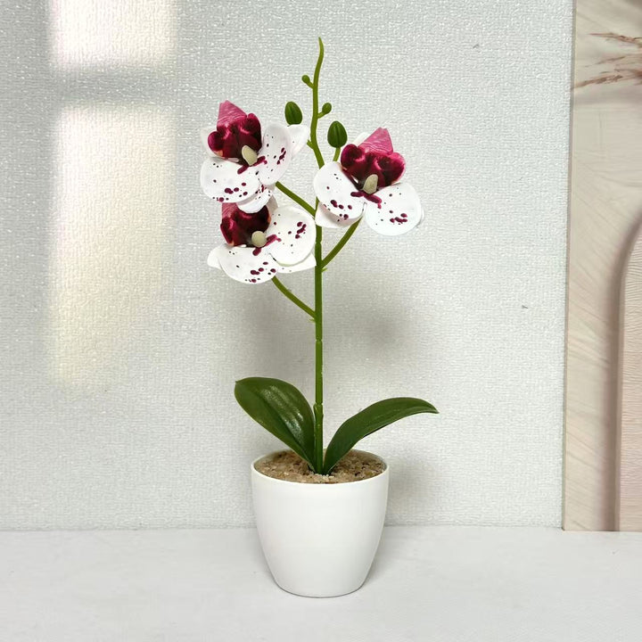 Elegante Kunst-Orchideen-Pflanzenschmuck