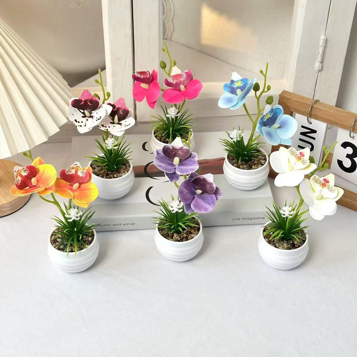 Dekorative Miniaturorchideen-Tischdekoration