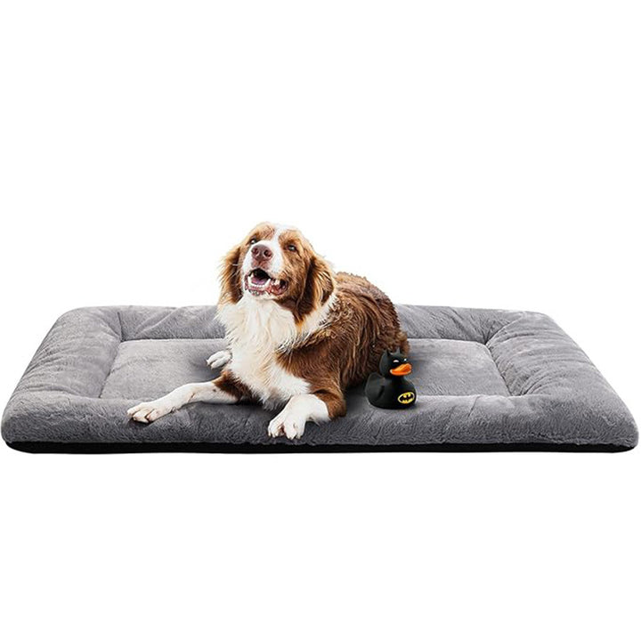 Komfort   Hundebett
