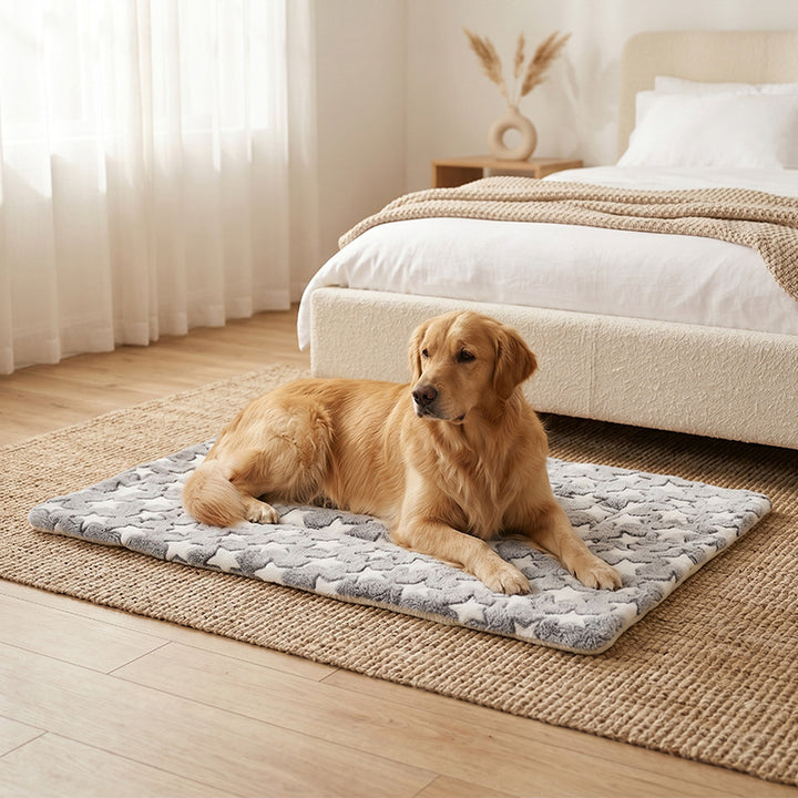 Komfortmatte   Hundebett