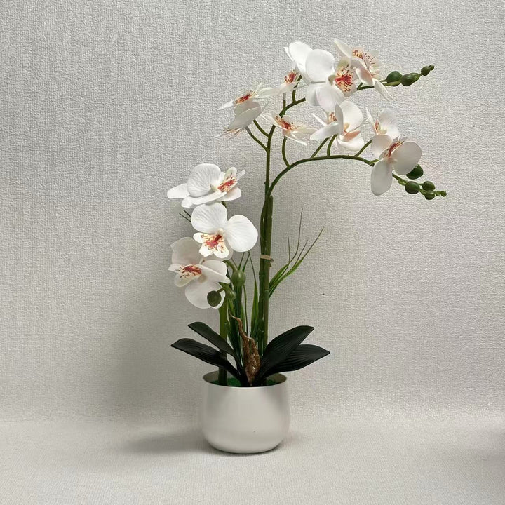 Exquisite Künstlicher Orchideen Ausstellung