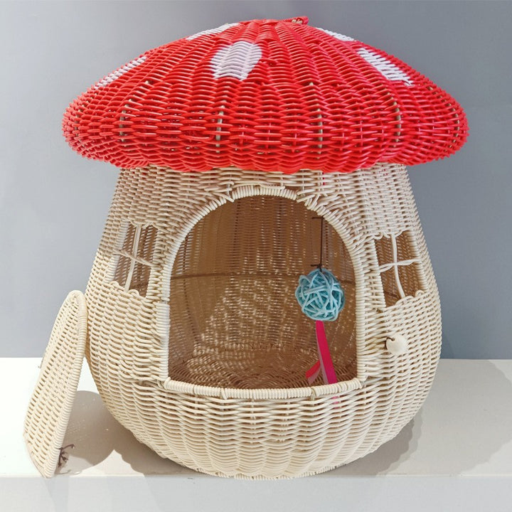 Katzenhaus Karnz