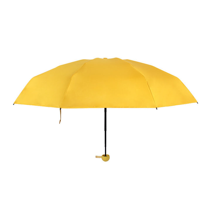 Damen Winddichter Regenschirm Karnz