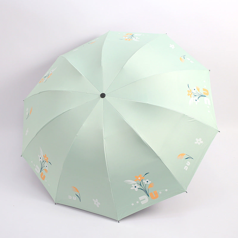 Damen Regenschirm Karnz