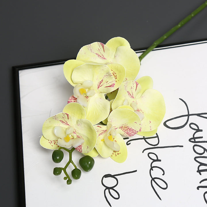 Lebensechter Orchideenblütenstiel