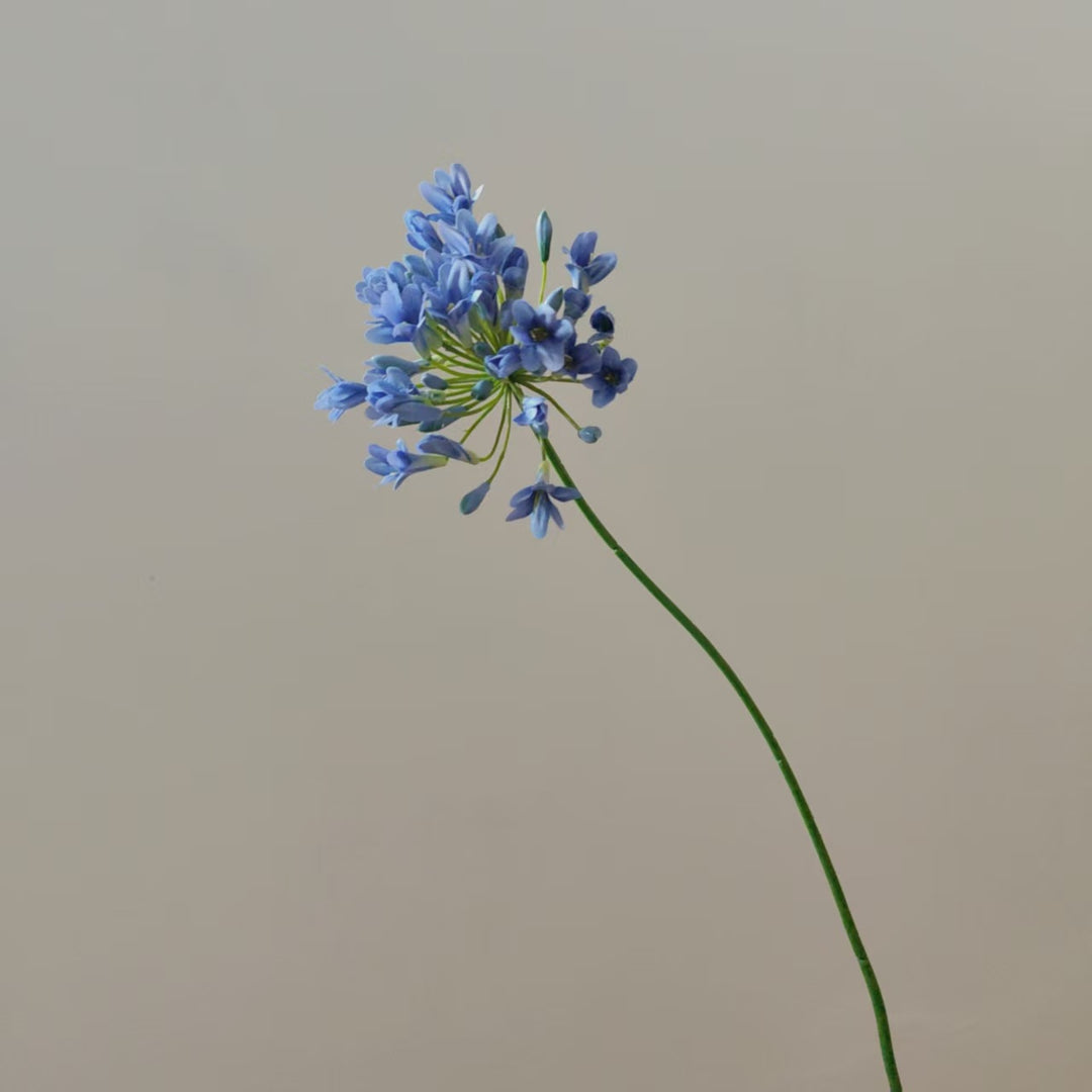 Lebensnahe Botanische Blumenstiel