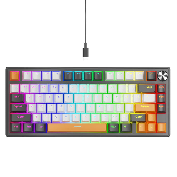 Dichtungs-montierte mechanische Gaming-Tastatur mit RGB-Beleuchtung Eigenschaften Karnz