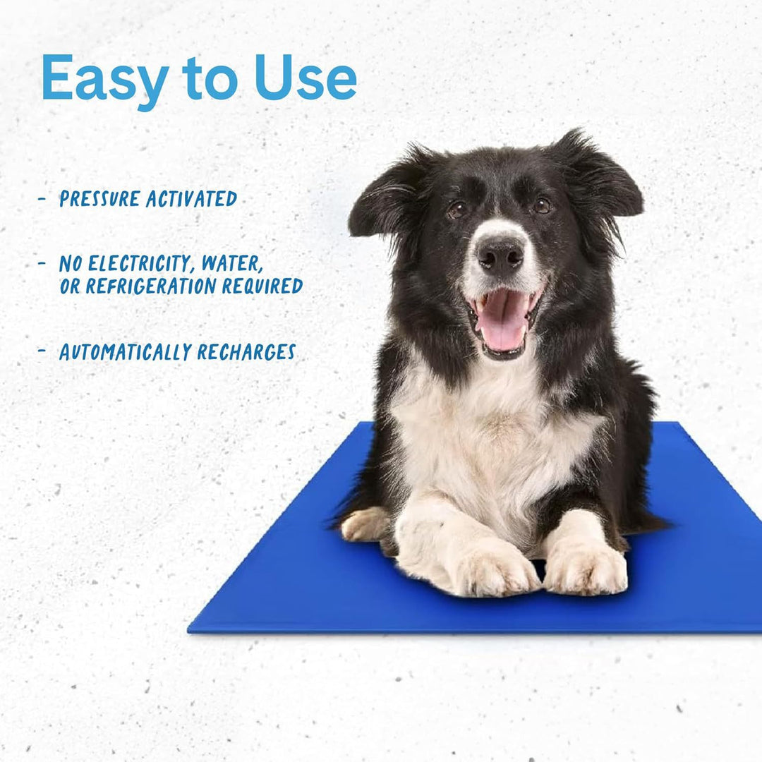 Kühlende Hundematte Karnz