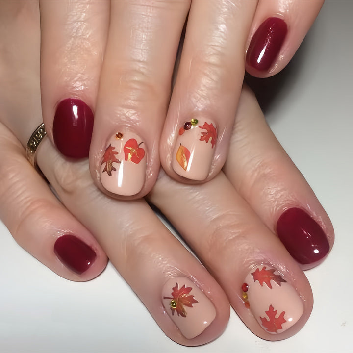 Saisonales Nagelkunst-Set Karnz