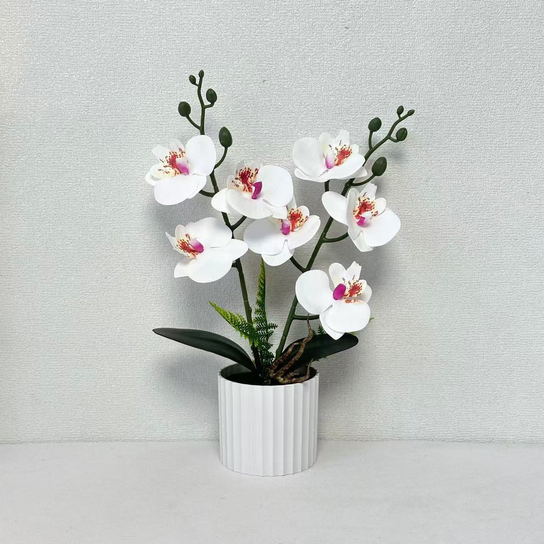 Realistische Orchideenpflanzenanordnung