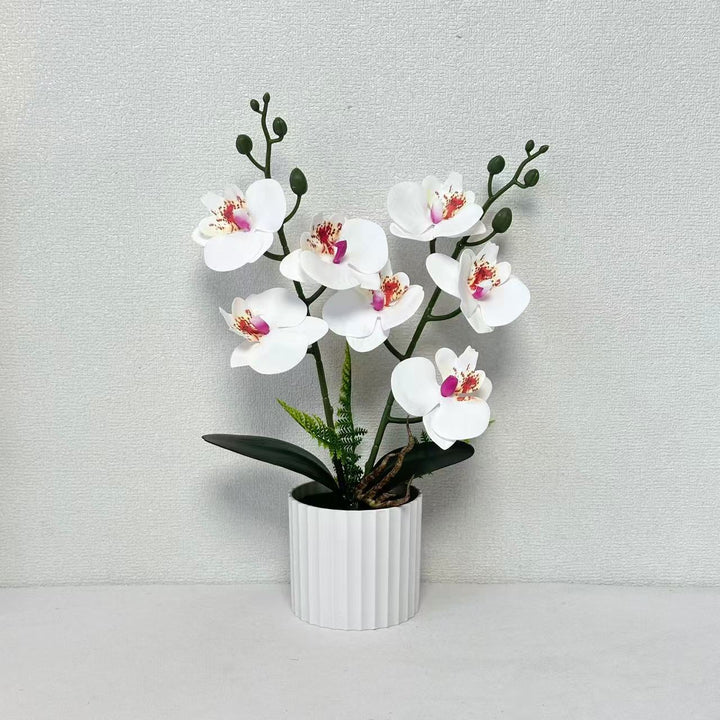 Realistische Orchideenpflanzenanordnung